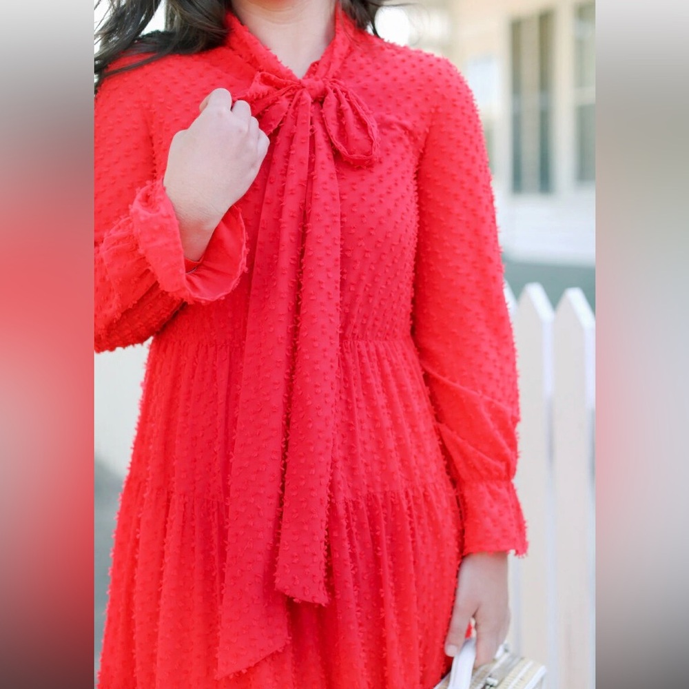 Dainty Jewells Radiant Rose long sleeve maxi dress . Size Small